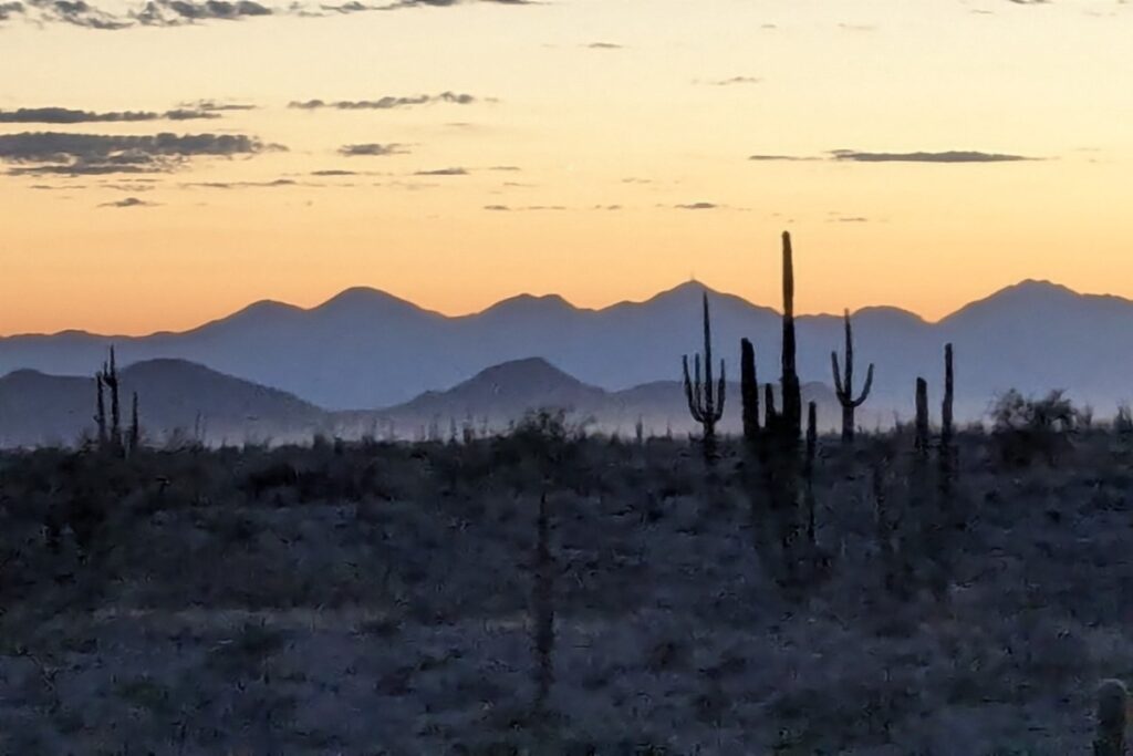 The Sonoran Desert during an ATV tour