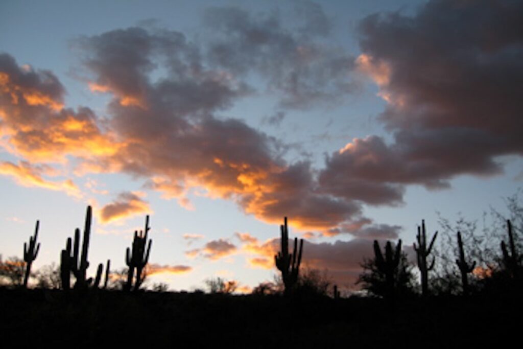 Phoenix and Scottsdale Sunset Tours
