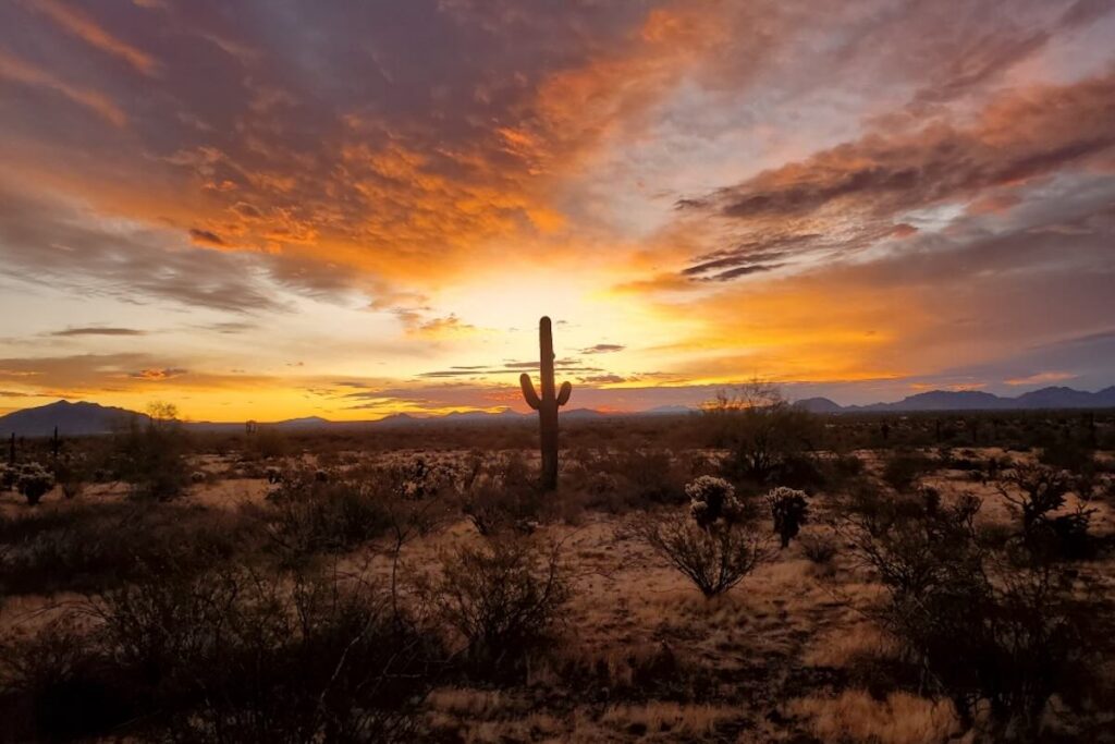 Sunset Tours in Phoenix Arizona